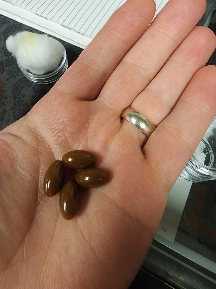 Kratom 45% Extract Softgel Capsules - 12 Count - Customer Photo From Thomas B.