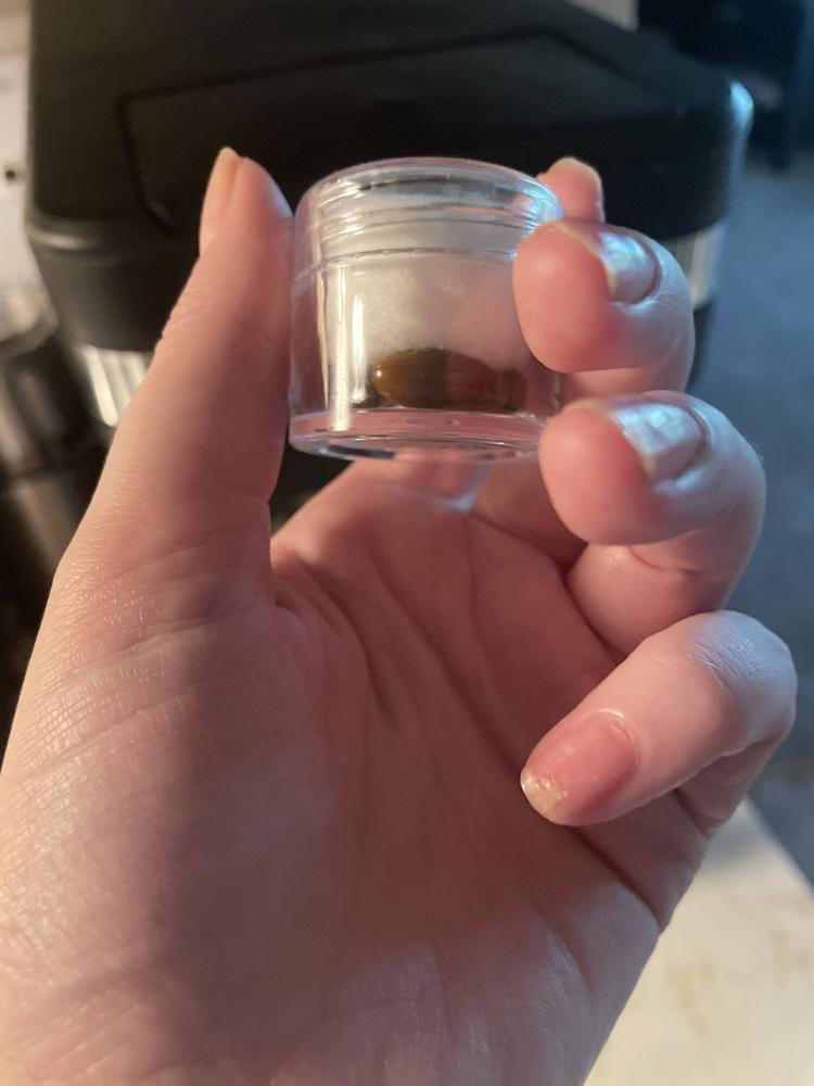Kratom 45% Extract Softgel Capsules - 12 Count - Customer Photo From Sarah L.