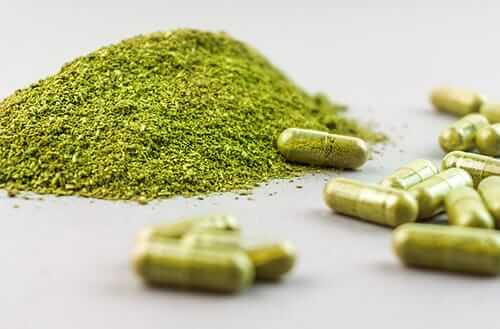 Pack the capsules with your Kratom strain of choice