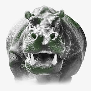 Rogue Hippo