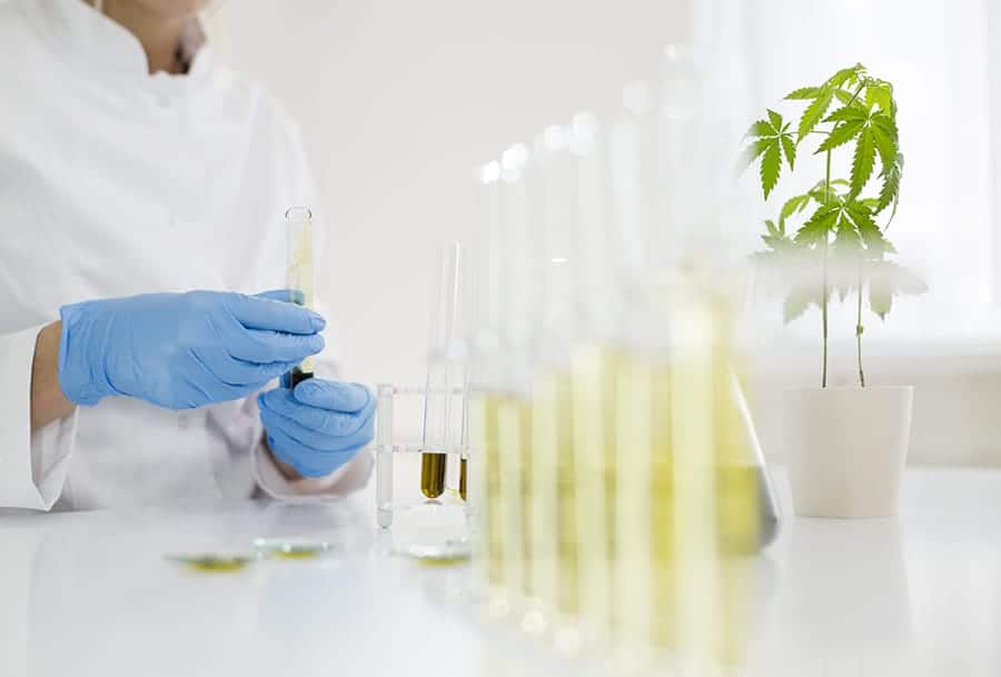 Why and How We Lab Test Our CBD