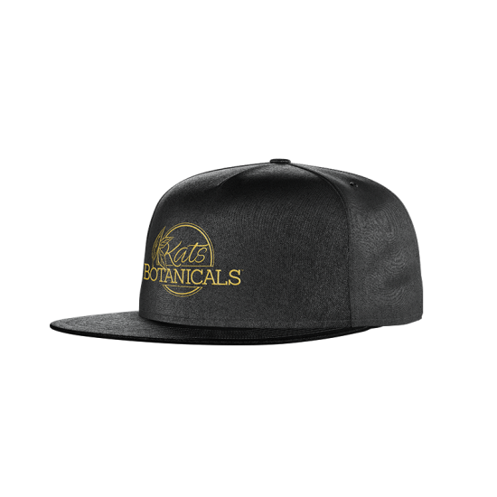 Snapback Hat