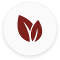 red vein icon