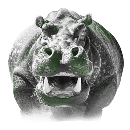 Rogue Hippo - Kats Botanicals