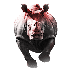 Rogue Rhino - Kats Botanicals