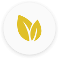 yellow kratom strain